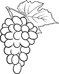 Image showing grapes illustration for coloring book