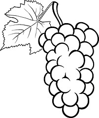 Image showing grapes illustration for coloring book