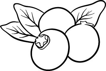 Image showing blueberry fruits for coloring book
