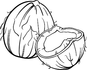 Image showing coconut illustration for coloring book