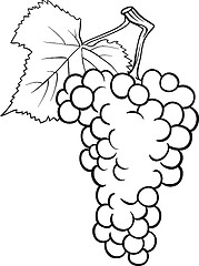 Image showing grapes illustration for coloring book