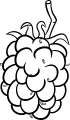 Image showing blackberry illustration for coloring book