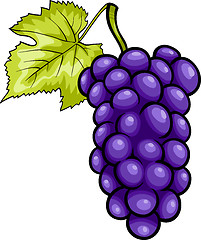 Image showing blue grapes fruit cartoon illustration