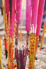 Image showing Chinese New Year celebrations for the Year of the Pig.