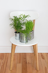 Image showing Green plants on white chair