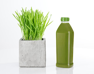Image showing Wheatgrass and bottle of green juice