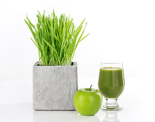 Image showing Wheatgrass, apple and green juice