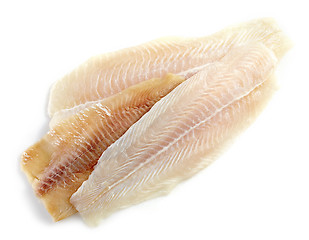 Image showing various fresh raw fish fillet