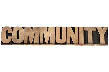 Image showing community in wood type