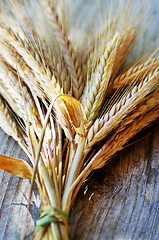 Image showing Spikes of Wheat on the Wood Background