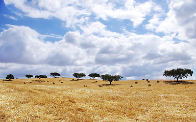 Image showing Landscape of straw field at Portugal