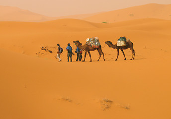 Image showing Into the desert