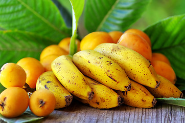 Image showing Portuguese bananas and loquats