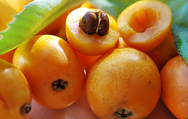 Image showing Loquat Medlar Fruit