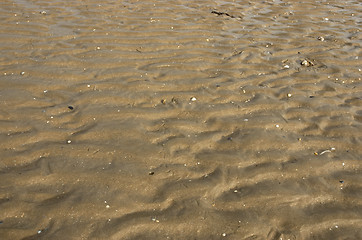 Image showing Sand ripples
