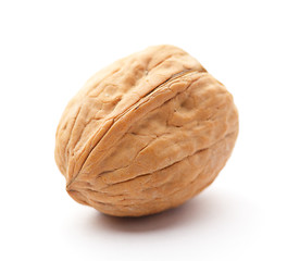 Image showing Walnut on white background