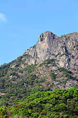 Image showing Lion rock mountain in Hong Kong 