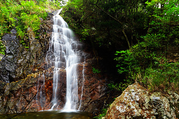 Image showing Waterfall in forest 