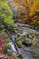 Image showing Rametului Gorge