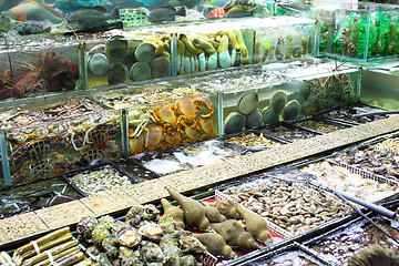 Image showing Fish tank in market