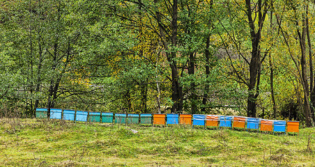 Image showing Beehives
