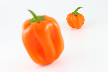 Image showing Orange Bell Peppers