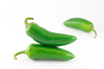 Image showing Jalapeno Peppers