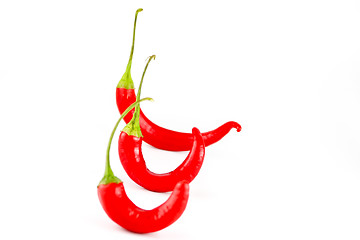 Image showing Chili Peppers