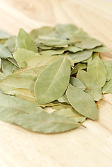 Image showing  Bay Leaves