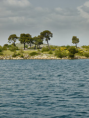 Image showing Coast in spring