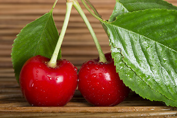 Image showing Cherry branch with leaves