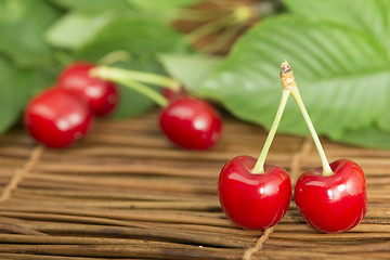 Image showing Cherries and branch with leaves