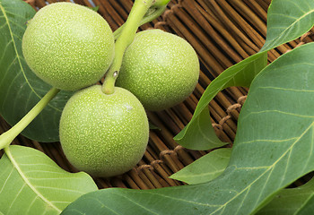 Image showing Green walnuts and leaves