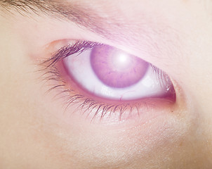 Image showing Human eye and light