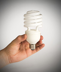 Image showing Ecological economical lamp