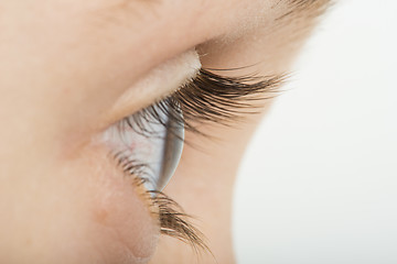 Image showing Human eye in profile