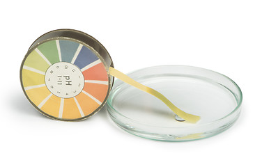 Image showing Litmus paper and beaker