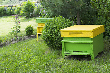 Image showing Yellow beehives