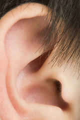 Image showing Human ear