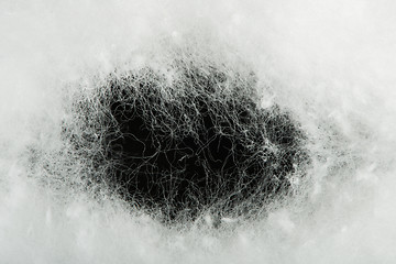 Image showing Cotton wool