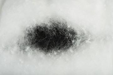 Image showing Cotton wool