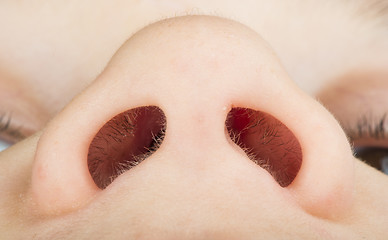 Image showing Human nose