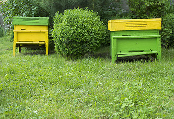 Image showing Yellow beehives