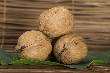 Image showing Ripe walnuts