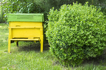 Image showing Green beehive