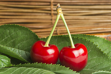 Image showing Cherry branch with leaves