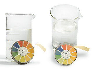 Image showing Litmus paper and beaker