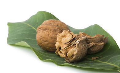 Image showing Walnuts and branch with leaves white isolated