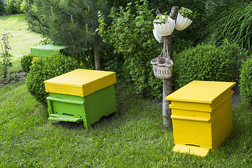 Image showing Yellow beehives