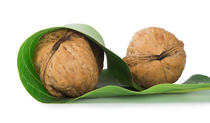 Image showing Ripe walnuts